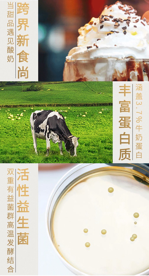 好享閑”甜品時刻，享受酸奶新風尚