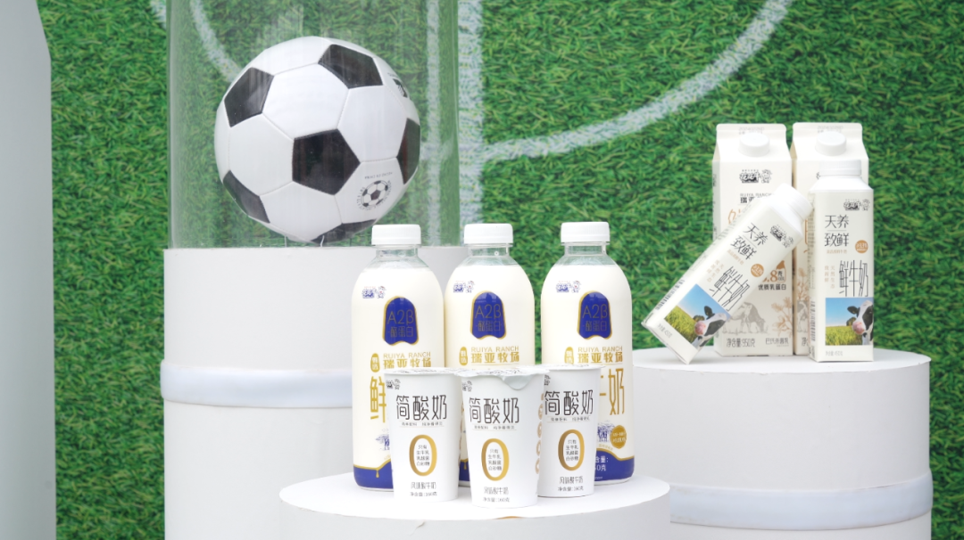 官宣丨花花牛贊助河南足球，新賽季和河南足球一起牛氣沖天！