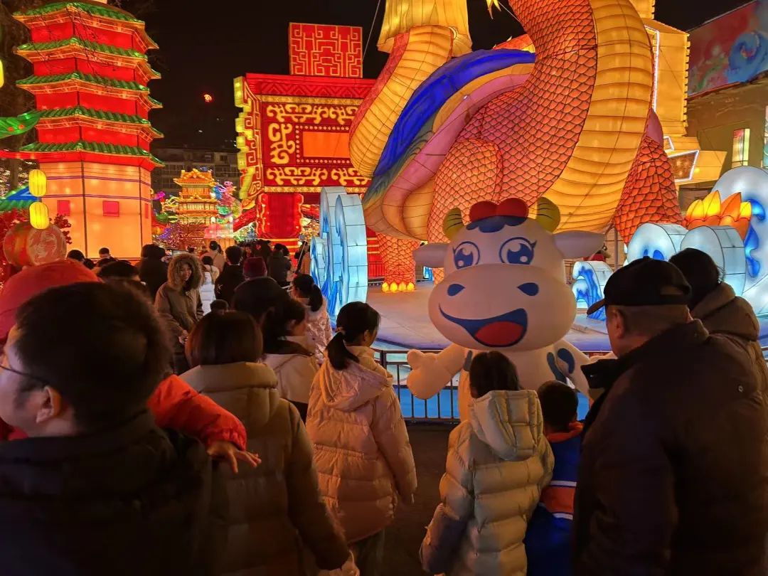 央視直播鄭州龍年燈會迎新春，花花牛品牌上大分