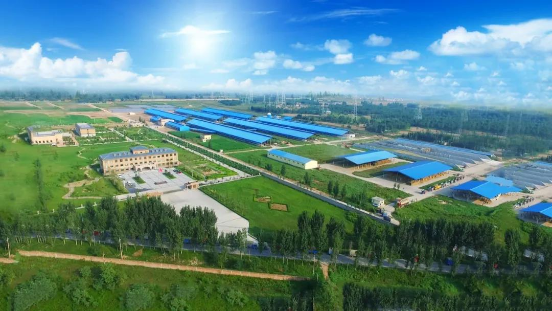 花花牛丨河南農業大學黨委副書記、校長介曉磊一行蒞臨花花牛河南瑞亞參觀調研