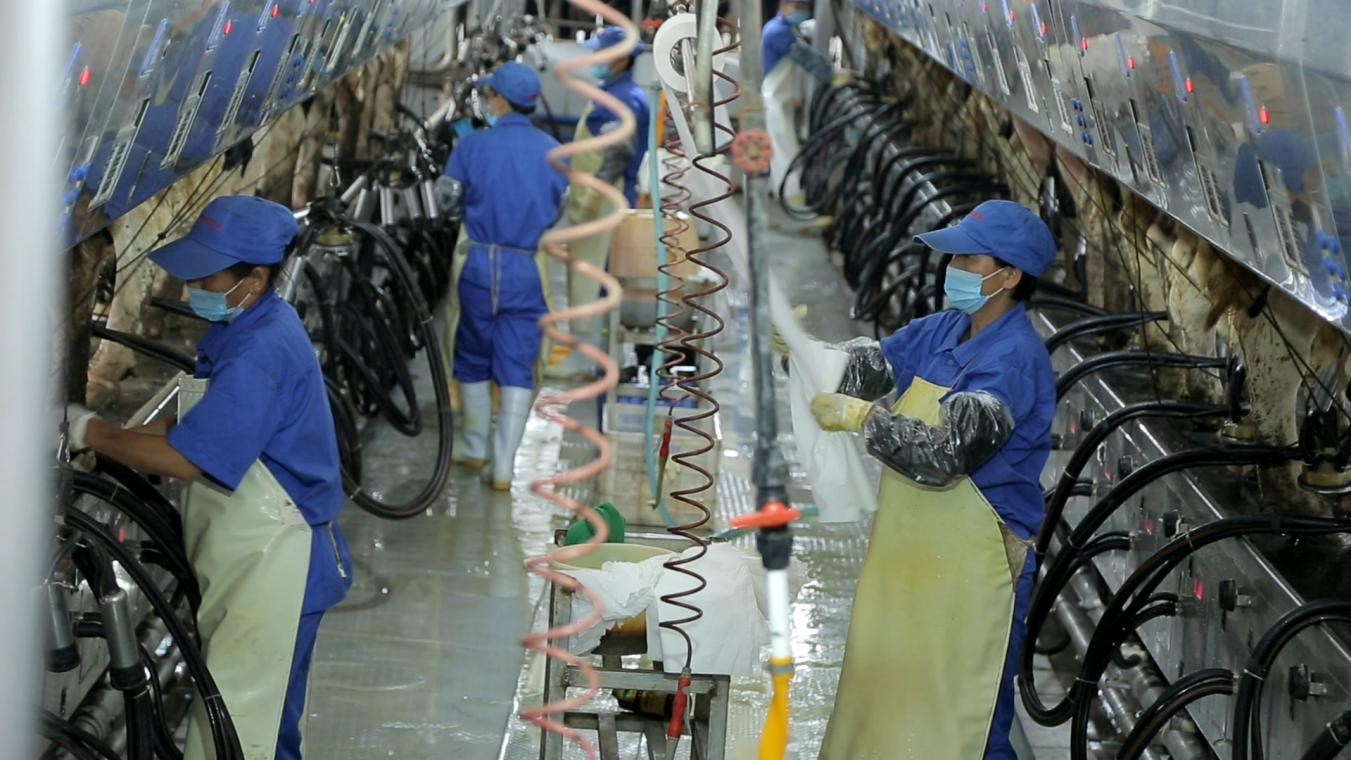 花花牛丨河南農業大學黨委副書記、校長介曉磊一行蒞臨花花牛河南瑞亞參觀調研