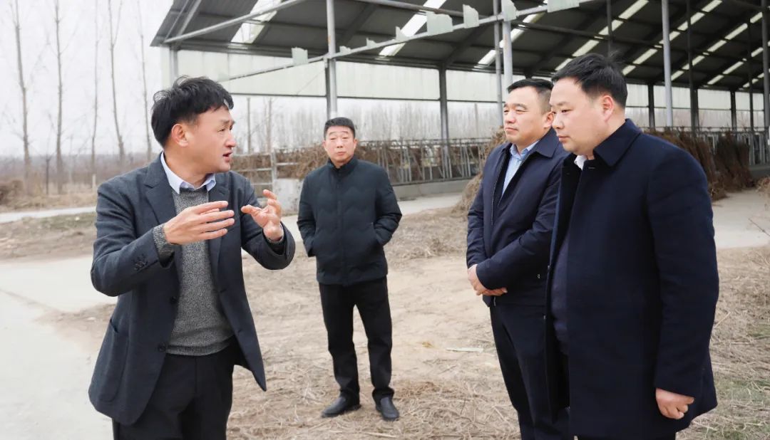 發揮產業優勢 助力鄉村振興 | 民權縣委副書記、縣長王靜嫻會見關曉彥董事長一行