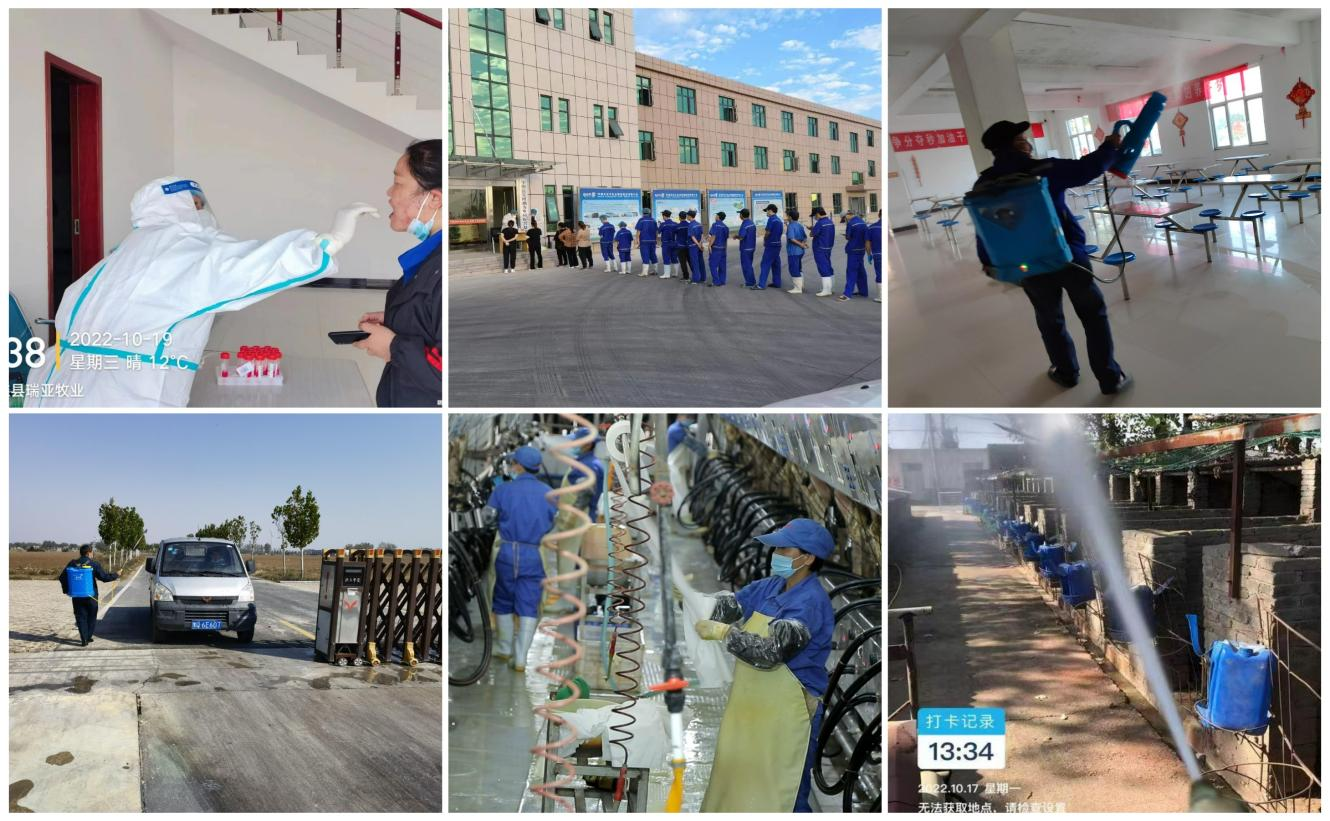 抗疫情、保供應、顯擔當——花花牛在行動?。?！