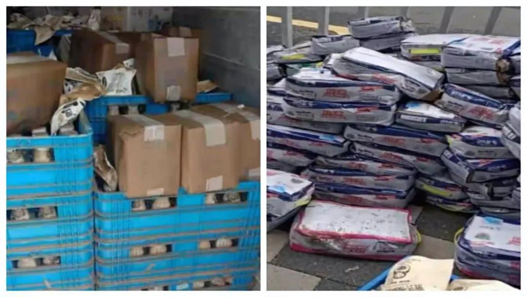 【乳報·聚焦】“豫”難而上的中原牛人“太中了”！