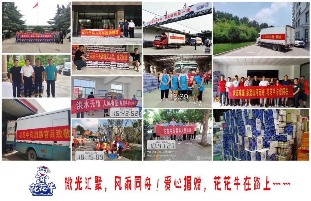 【乳報·聚焦】“豫”難而上的中原牛人“太中了”！