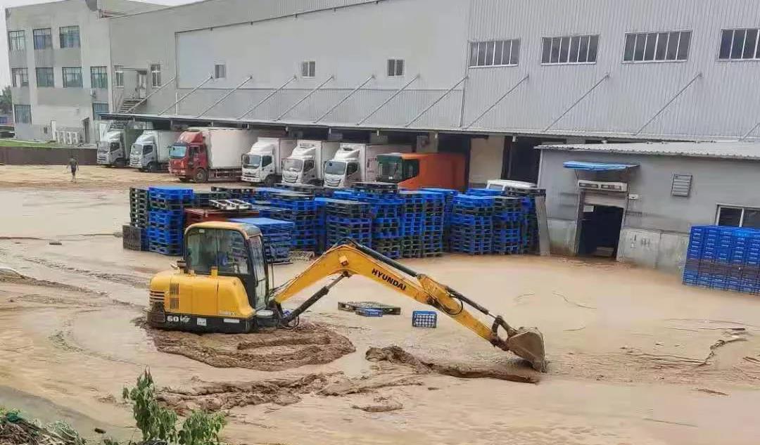 【乳報·聚焦】“豫”難而上的中原牛人“太中了”！