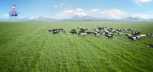 快訊 | 2020河南民營企業100強發布 花花牛榮獲“河南民營企業現代農業100強”、“河南民營企業社會責任100強”雙榮譽