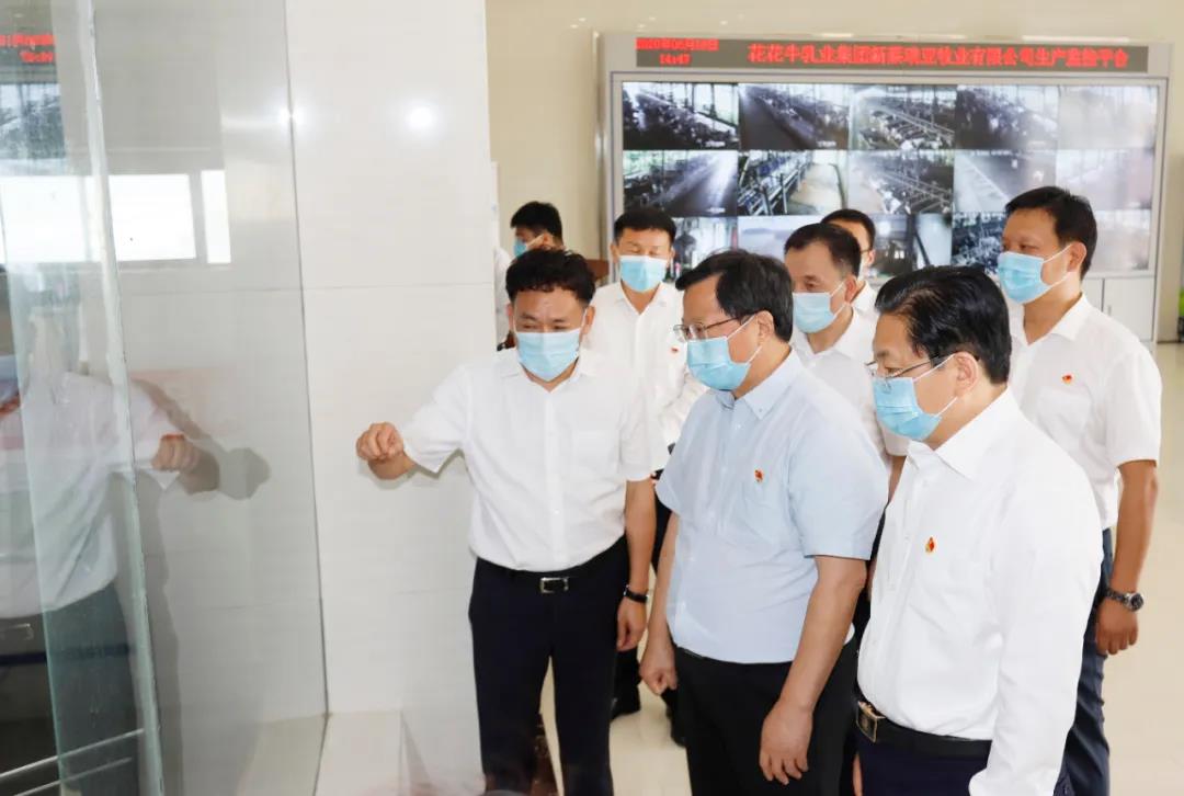 快訊 | 河南省委常委、省紀委書記、省監委主任任正曉蒞臨花花牛乳業集團新蔡瑞亞牧場調研