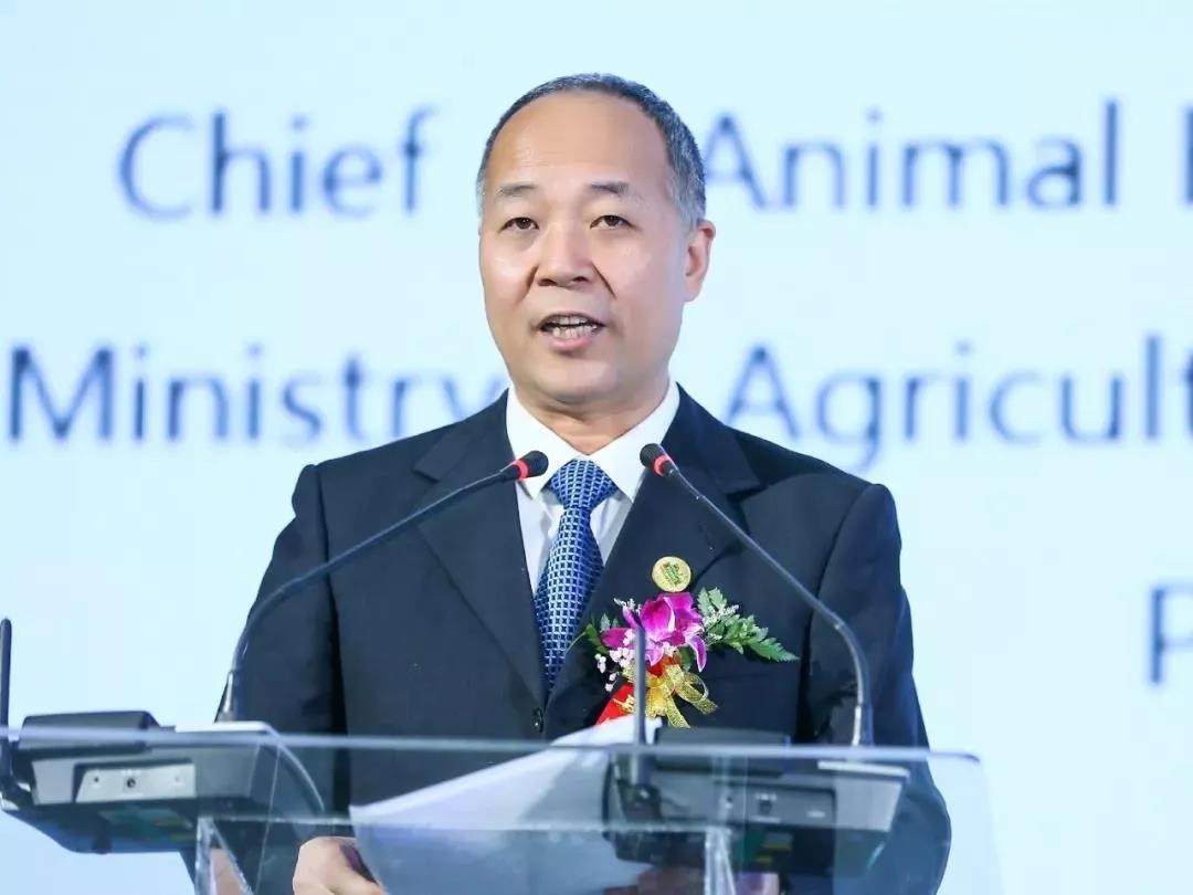 SDDDC走進河南，看看花花牛的國際范兒！