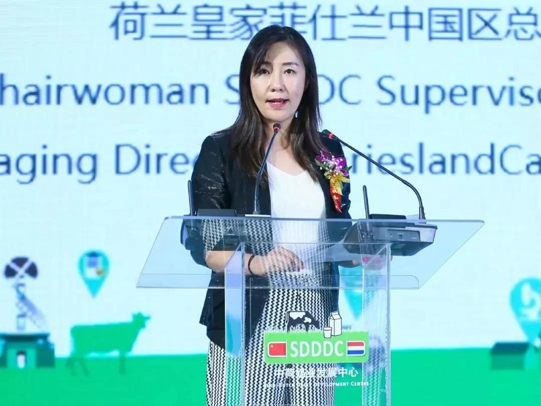 SDDDC走進河南，看看花花牛的國際范兒！