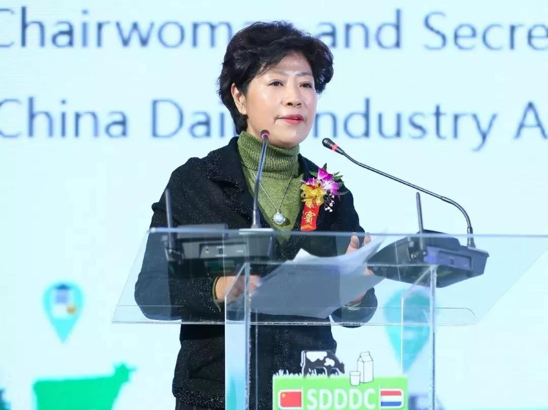 SDDDC走進河南，看看花花牛的國際范兒！