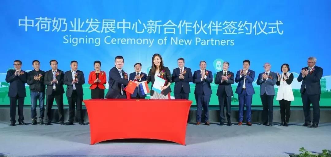 SDDDC走進河南，看看花花牛的國際范兒！