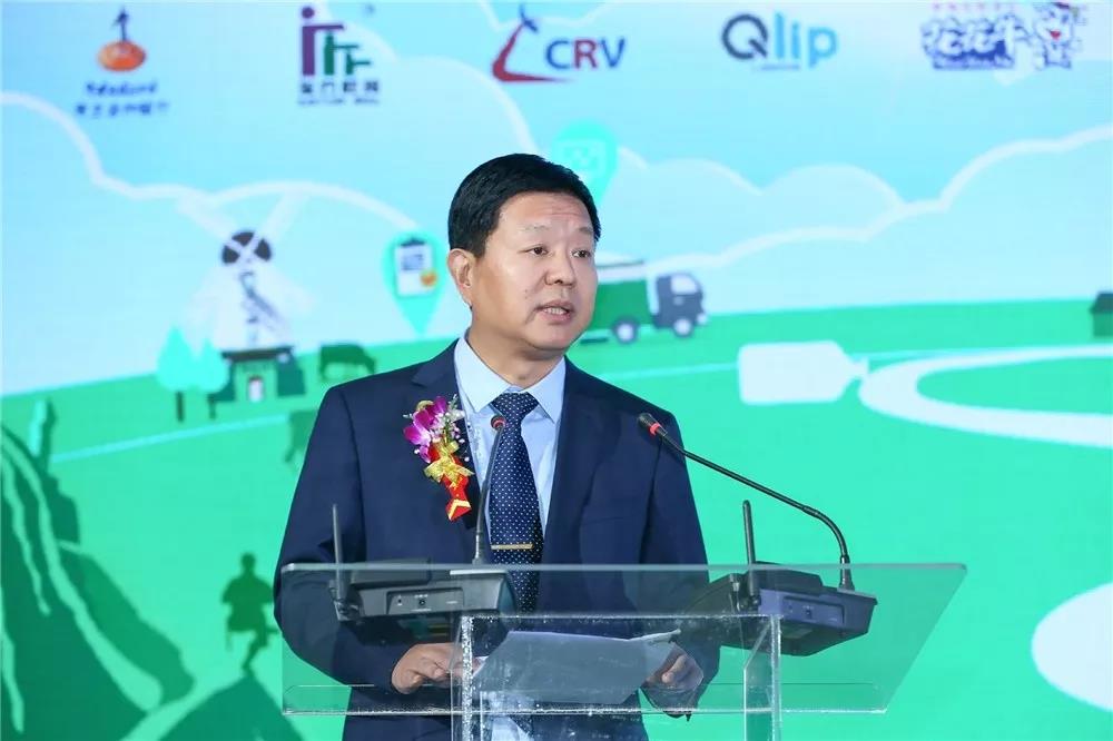 SDDDC走進河南，看看花花牛的國際范兒！