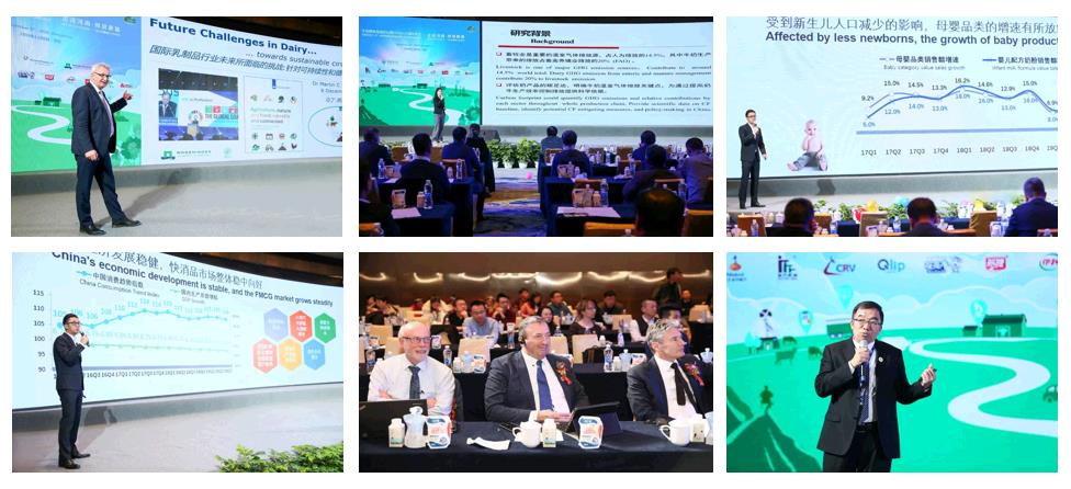 SDDDC走進河南，看看花花牛的國際范兒！