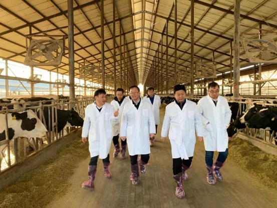 寧夏回族自治區農業農村廳黨組書記、廳長王剛一行蒞臨花花牛乳業集團調研