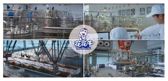 榮獲全國“質量月”五項大獎，花花牛真牛！