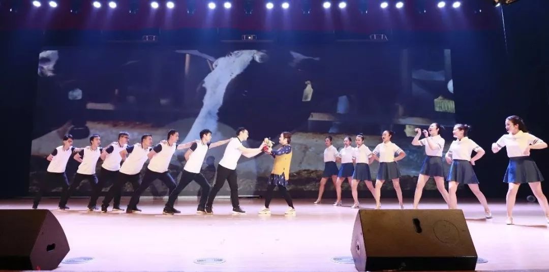 “贏在2019”，花花牛乳業集團2019年新春晚會盛大開幕