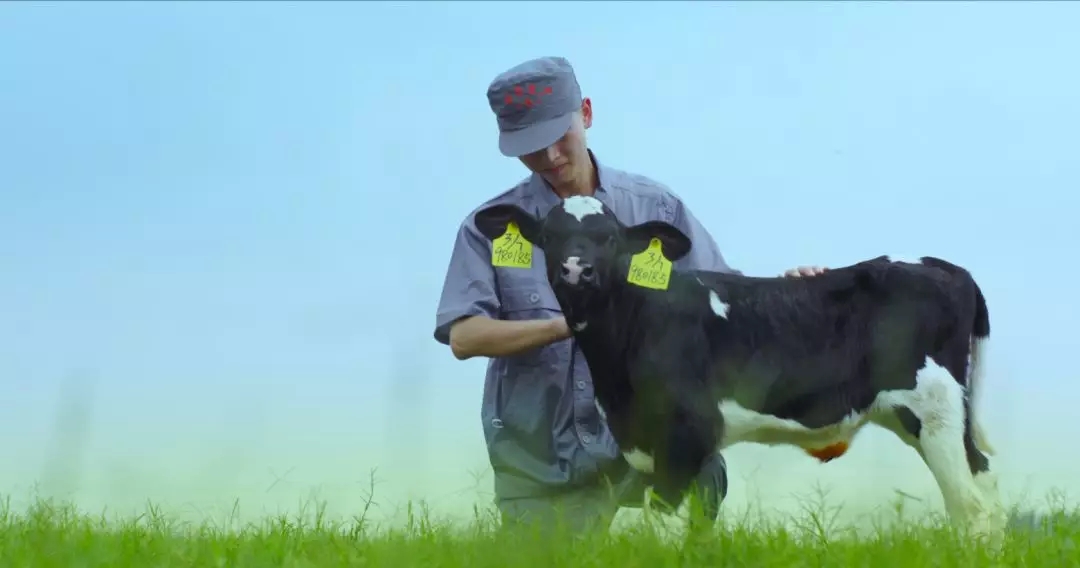 喜報 | 國家市場監管總局抽檢，花花牛等112家企業乳品抽檢全部合格