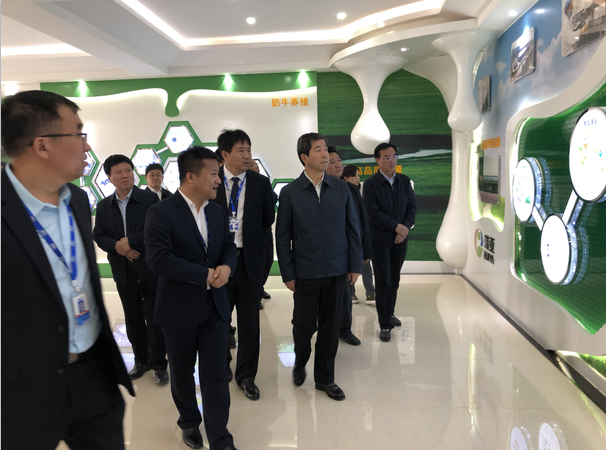 河南省委副書記、省長陳潤兒一行蒞臨 花花牛集團魯山瑞亞牧業有限公司視察調研