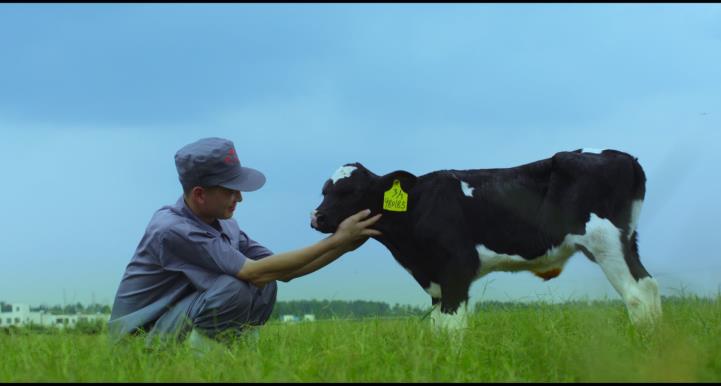 又雙叒叕獲獎啦！花花牛榮獲“乳品質量安全管理 優秀企業”