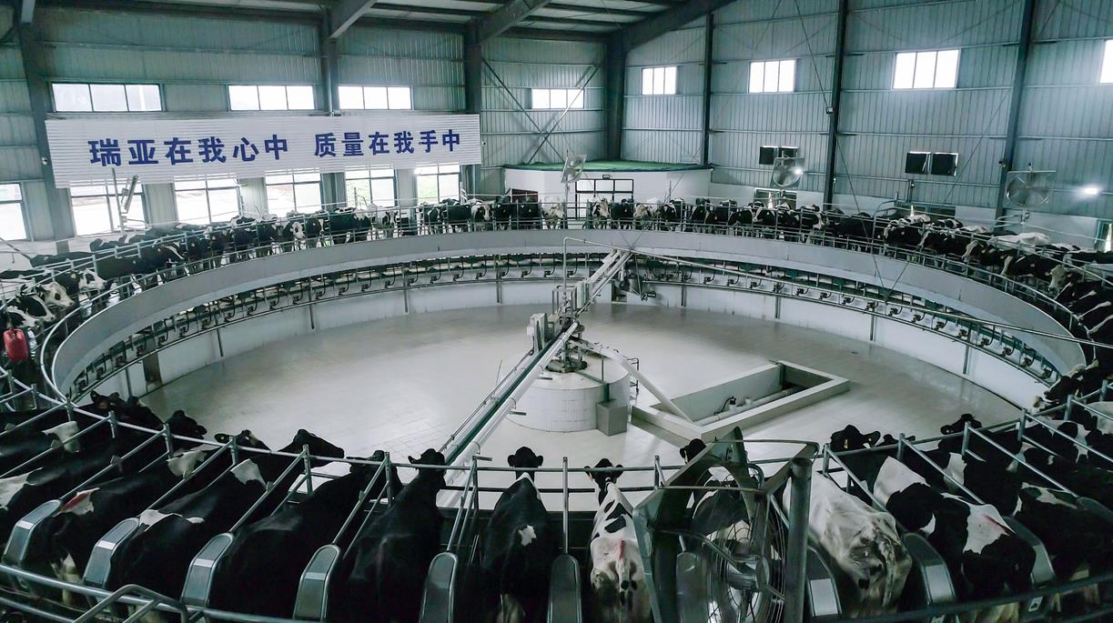 又雙叒叕獲獎啦！花花牛榮獲“乳品質量安全管理 優秀企業”