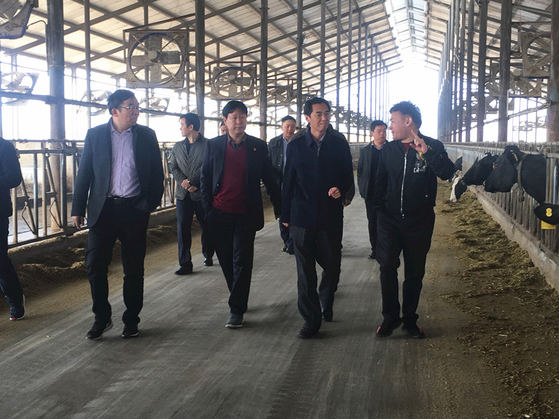 封丘縣縣長王獻臣一行蒞臨 花花牛集團養殖、乳品事業部參觀調研
