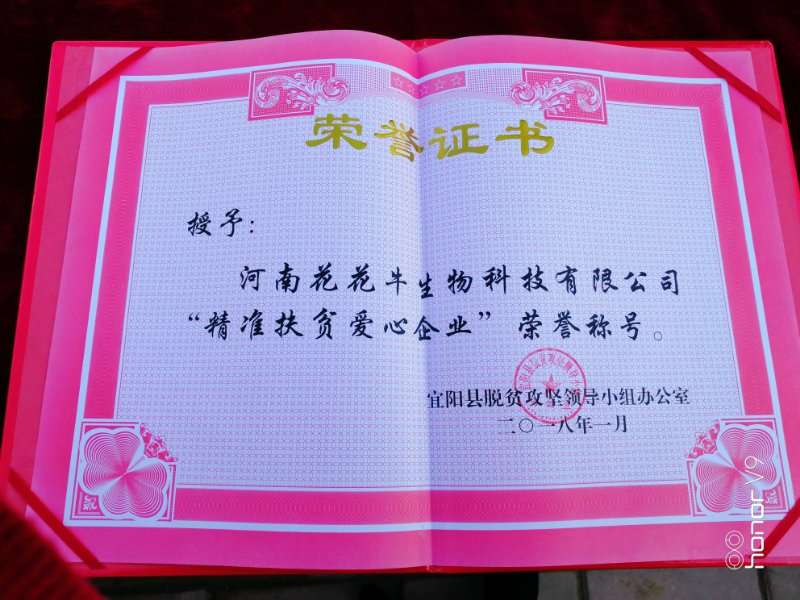 關愛成長 相伴未來——精準扶貧“暖冬公益行”走進宜陽縣白楊鎮