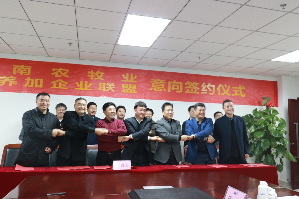 涉農企業強強聯合，“抱團取暖”共迎企業發展的春天