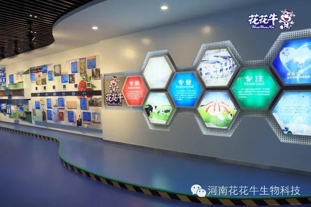 花花牛：務實、創新領潮市場 大企業體現大擔當