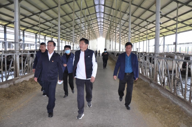商丘市委常委、宣傳部部長王全周一行蒞臨睢縣瑞亞牧業有限公司調研